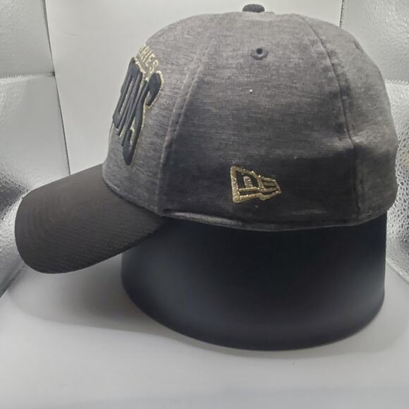 Chicago Cubs 2016 World Series Champions Hat MLB Baseball Cap Gray - Picture 2 of 13